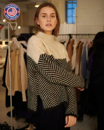 Women's colorblock knit winter roll neck sweater with chevron pattern